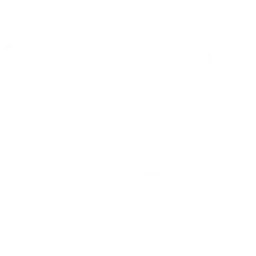Instagram logo - white