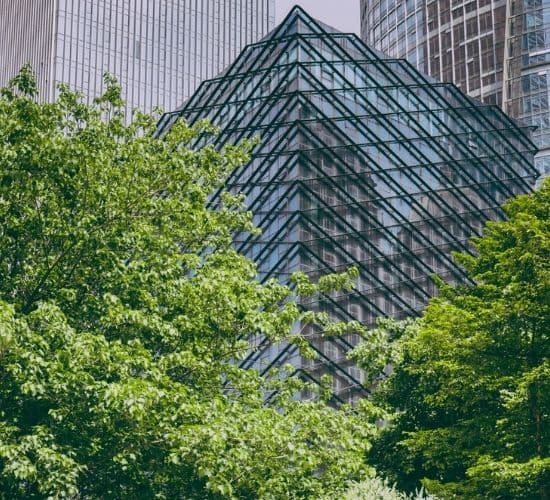 Untitled (550 × 500 px)