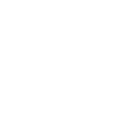 X Twitter logo - white