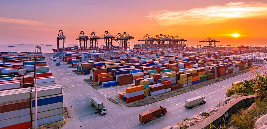 191018-brexit-supply-chain