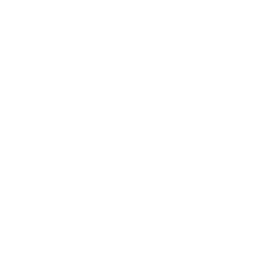 Facebook logo - white