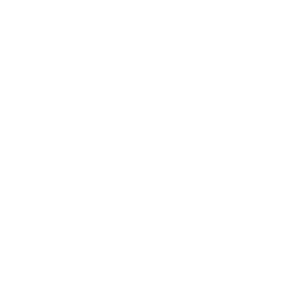 Facebook logo - white