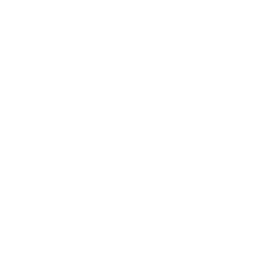 LinkedIn logo - white