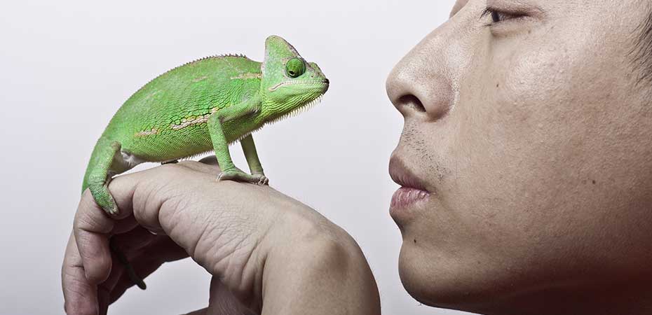 greenwashing-hero-image