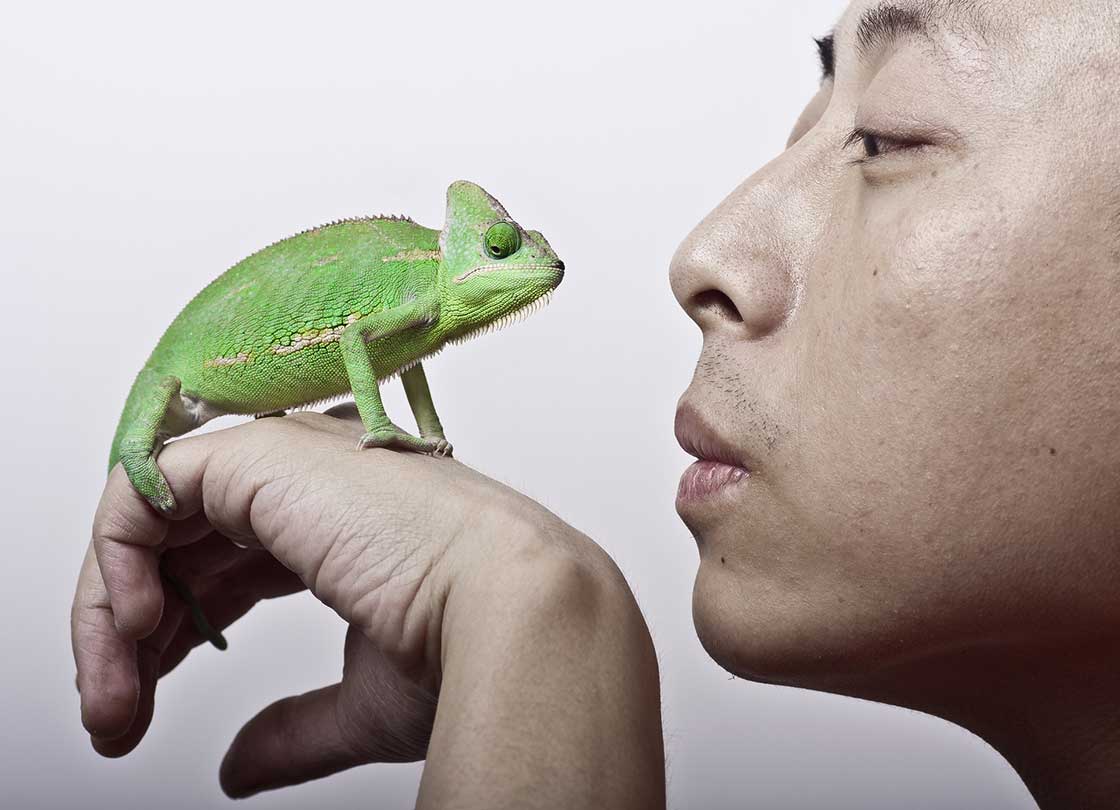 greenwashing-topic-page-cta-umage