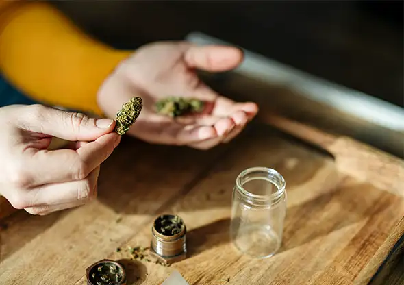 240221-client-work-2022-MA-kanabo