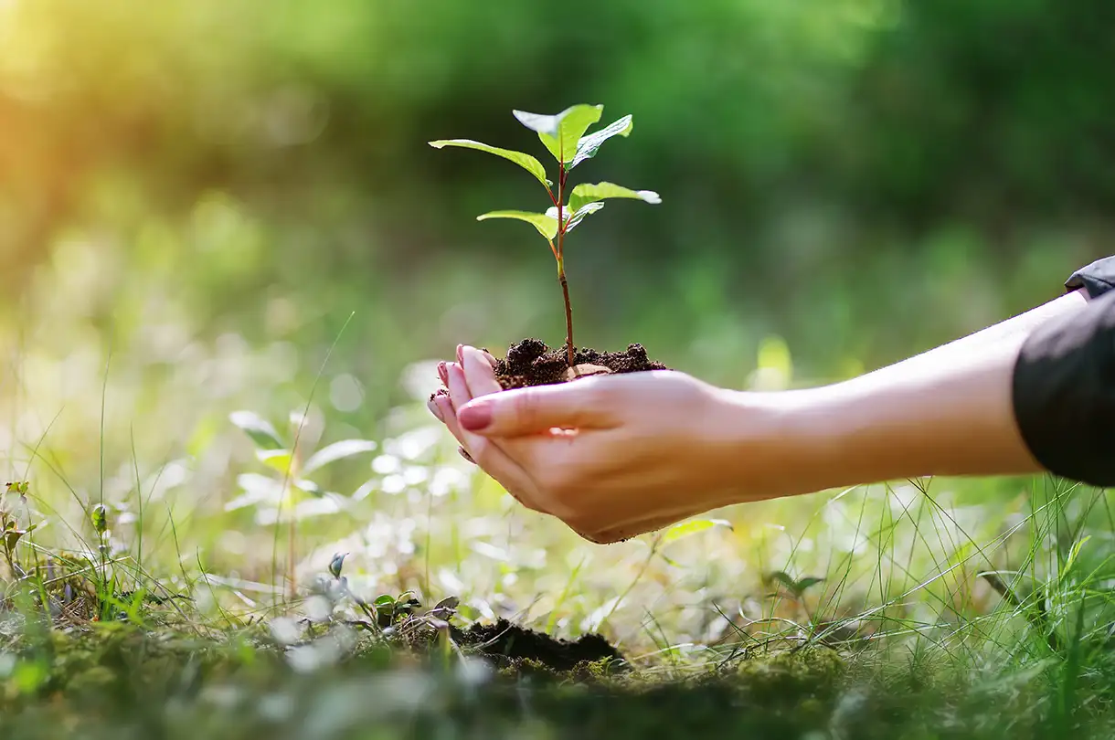 Who we are - Environmental commitment (UK) cta