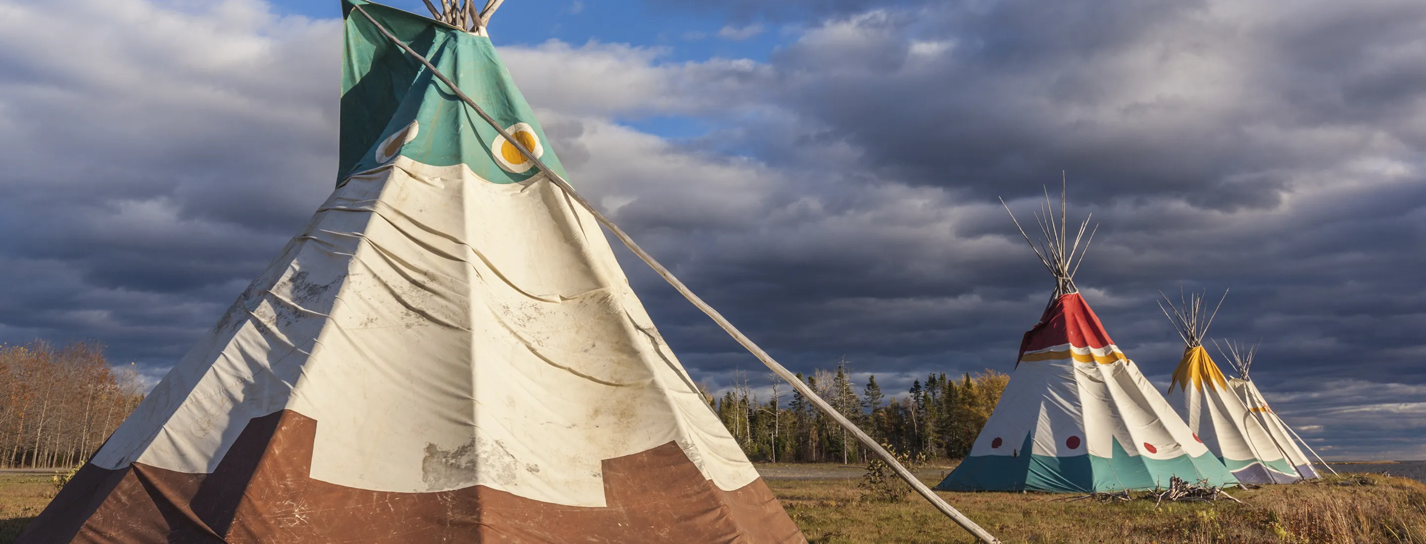 Indigenous Law (CA) - website - in-page