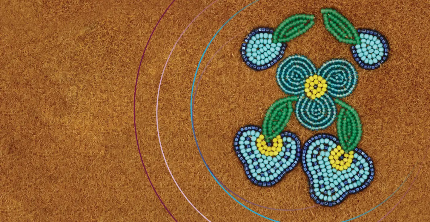 Indigenous Law (CA) - website - banner - image