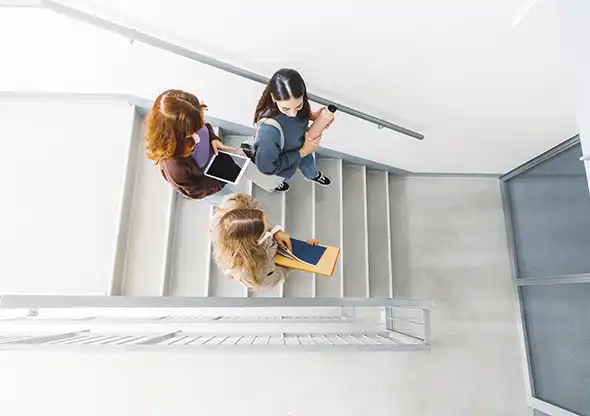 Client work - Workplace Investigations and Whistleblowing - University