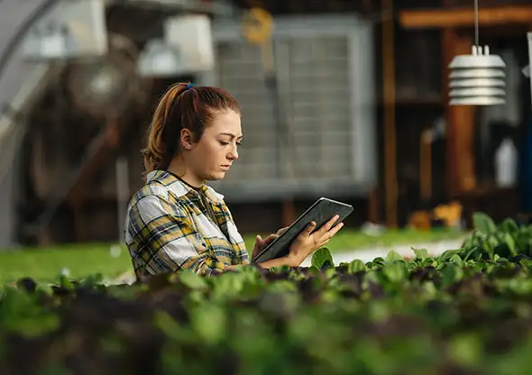 Projects and Infrastructure - Project Finance - Client Work - Triple Point Energy