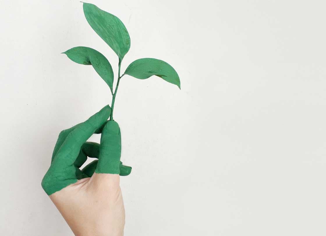 practical-tips-to-avoid-greenwashing-cta-image