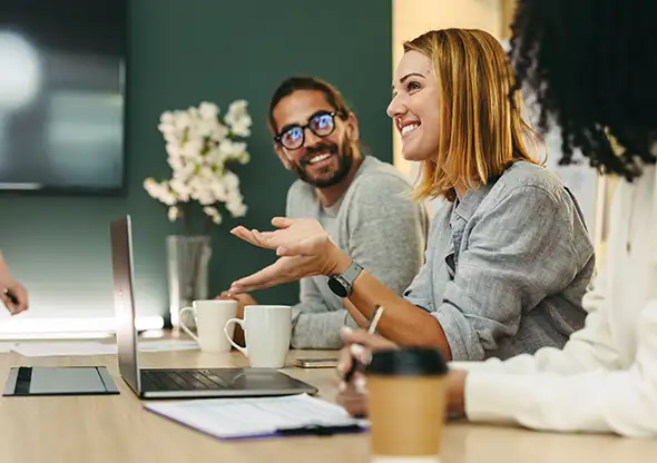 Banking and Finance - FinTech Law - Client Work - Flamingo