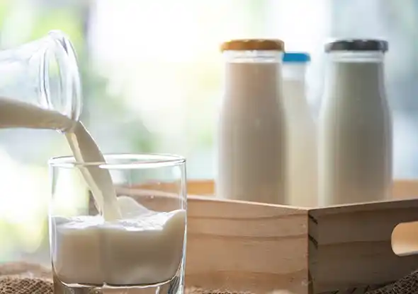 Food and drink - Client work - National Milk Records