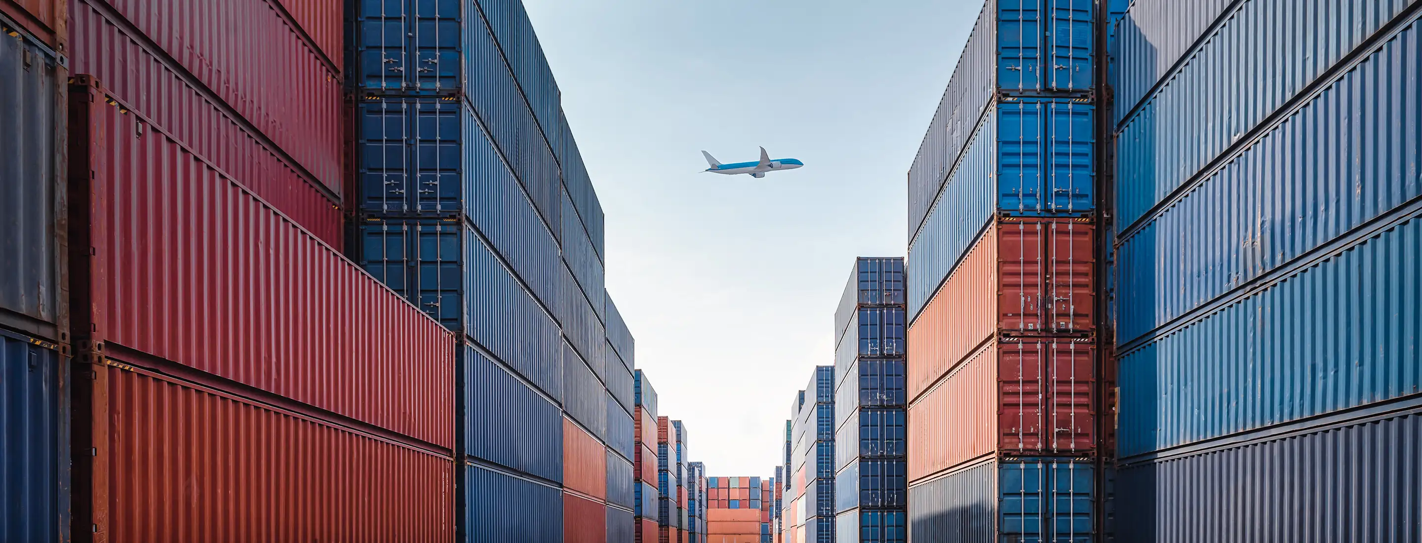 International Trade & Customs - in-page