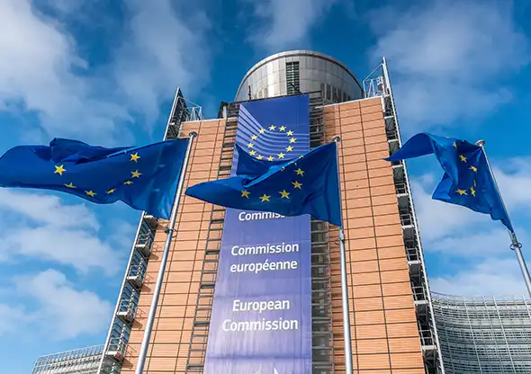 Client work - International Trade, Sanctions and Customs - Trade defence