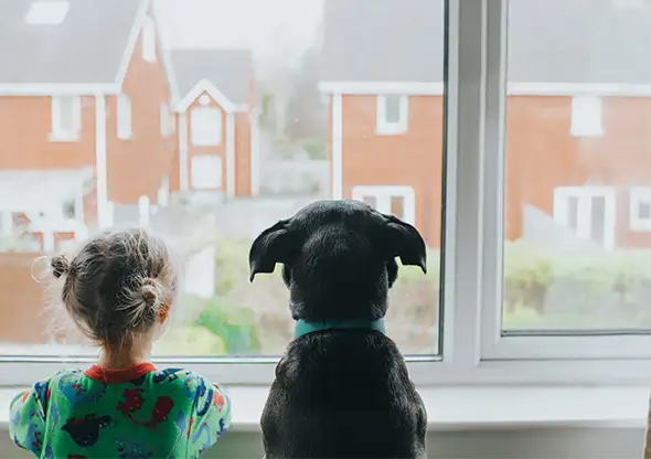 Real Estate - Real Estate Development - Client Work - Developer Consortium