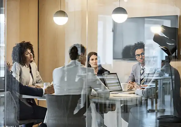 Client work - Pensions - Employer advisory - Resolution of errors in scheme rules