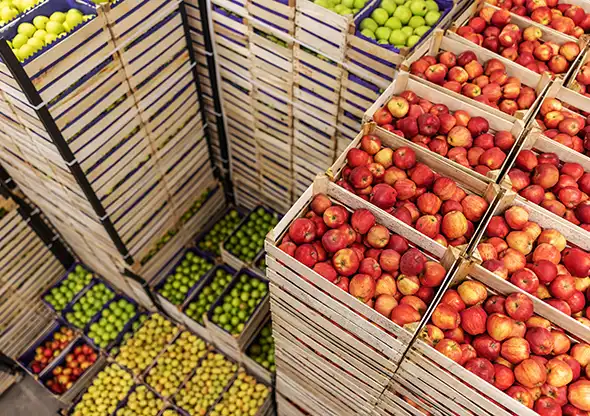 Client work - International Trade, Sanctions and Customs - Trade customs compliance