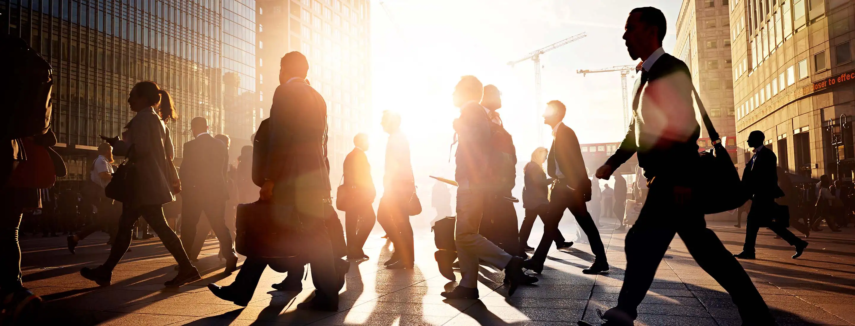 Government Contracting & Public Sector - in-page - image