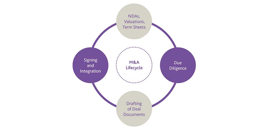The M&A life cycle - NDAs, valuations, term sheets then due diligence, then Drafting of deal documents, then Signing and interrogation, then repeat.