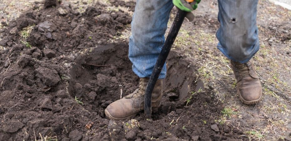 person digging in ground revealing soil