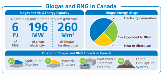 biogas & RNG capacity and usage graph