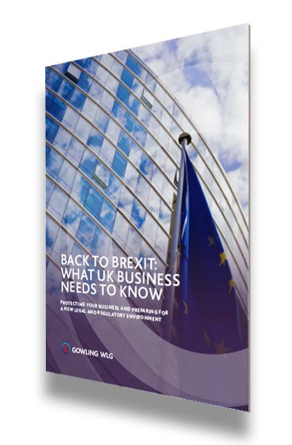Back to Brexit: What UK business needs to know